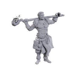 D&D Nolzur's Marvelous Miniatures: Archdruid & Martial Arts Adept