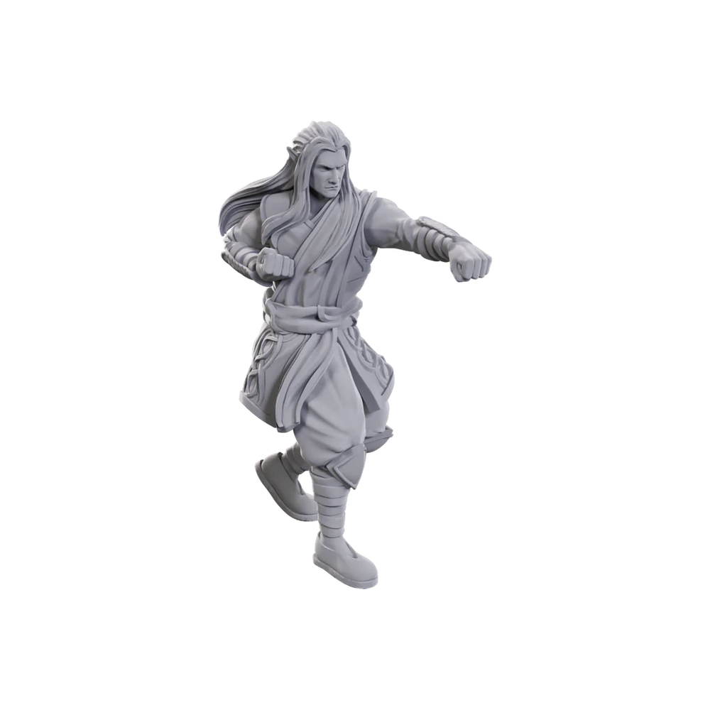 D&D Nolzur's Marvelous Miniatures: Archdruid & Martial Arts Adept