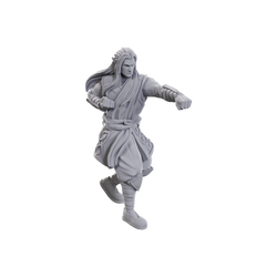 D&D Nolzur's Marvelous Miniatures: Archdruid & Martial Arts Adept